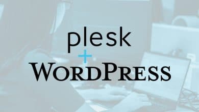 دليل حول Plesk Web Hosting